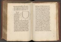 f115v-116r