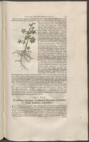 Historiae naturalis Brasiliae_0195