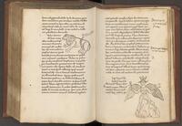 f116v-117r