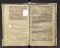 f018v-019r