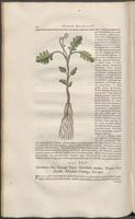 Historiae naturalis Brasiliae_0200