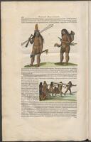 Historiae naturalis Brasiliae_0430