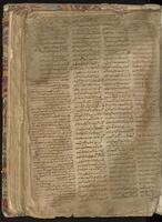 f041v