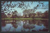 Postcard of Northern Illinois State Teachers College - Swen Parson Library in De Kalb, Illinois, United States of America, KOOPM 11603