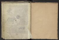 opening05 (incl. f057v)