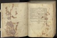 opening03 (incl. f310v)