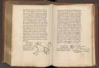f118v-119r