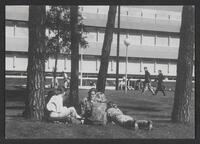 Postcard of University Library in Tilburg, KOOPM 6600
